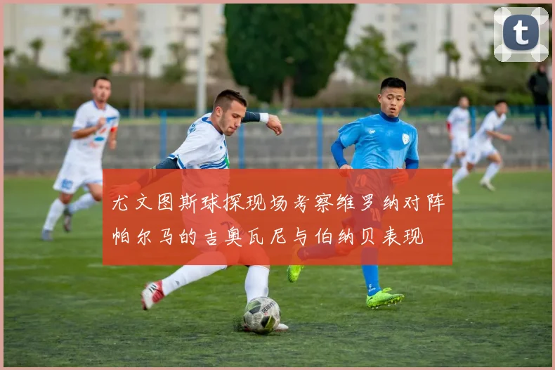 尤文图斯球探现场考察维罗纳对阵帕尔马的吉奥瓦尼与伯纳贝表现